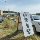 엄마손해물손칼국수 이미지