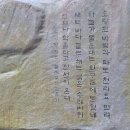 부산 가볼만한 곳 다대포 몰운대 이미지