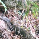 적상면사무소 | 조선시대🎎 가장유명했던 暗行御史ㅡ박문수어사께서 다녀가셨던 옛길~ '구천동 어사길' 탐방축제가 곧...