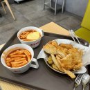 염포로R | 뒤늦게 올리는 림찌의 2월 일상들