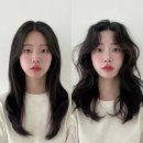 프리프헤어 이미지 변신 후기, 실제 변화 디테일 분석