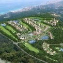 라온제주영어교육도시공인중개사사무소 이미지