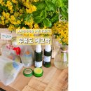 신중어린이공원 | 화성 가볼만한곳 우음도 에코락 어린이체험 산국 향기테라피 &amp; 공룡알화석지