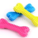 한스애견 이미지