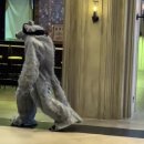 주식회사 애보여행사 | 다크문 개기월식 행사 후기