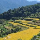 인월산장 이미지