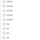 하이포그