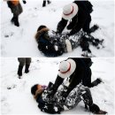체안미 이미지