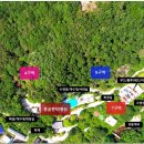 비채펜션 이미지