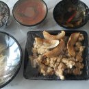 시계반점 이미지