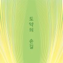 안계 이미지