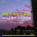 해운대 바닷가 술집 브라운핸즈 오아제부산 위치·가격·이용 꿀팁 가득
