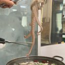 낙지뻘식당 이미지