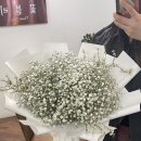 꽃블리인천주안