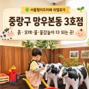 (12/15) 초등_클레이무드등 | 서울형키즈카페 중랑구 망우본동 3호점 솔직후기 | 흙, 모래, 물놀이, 미술놀이까지! 26년 12...