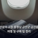 현대농산물직판장 | 인삼의 고장 충청남 금산군 금산읍 여행 및 구매 팁 정리