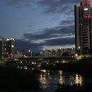 할리스도안 이미지