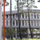 어진동_문화체육관광부 이미지