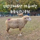 늘솔길근린공원양떼목장 | 인천양떼목장 가을여행 늘솔길근린공원