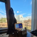 충청부동산중개 | 세종에서 만난 진한 일본식 라멘 / 스바라시 라멘 세종점 솔직후기