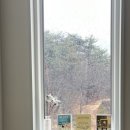 퍼즈 인 윌로우 이미지