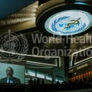 원 헬스 이미지