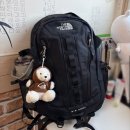 빅샷 | 노스페이스 빅샷 M 후기 사이즈 착용 리뷰｜여행 등산 백팩 내돈내산 NM2DR65A 빅샷 엠 BLACK