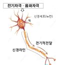 브레인온 이미지