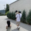 종일목장 | [가평 양떼목장 후기] 아이와 가볼만한곳 · 서울근교 가족 나들이 추천