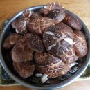 국보농장 이미지