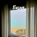 버스정류장 05-237 | 부산 가성비 호텔 토요코인 해운대2 오션뷰 가격 위치 무료조식 후기