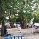 피아노숲 이미지