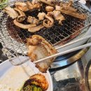 멍텅구리꼼장어 이미지