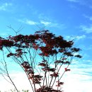 인천아시아드경기장 이미지