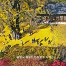 전주향교 이미지