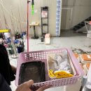 안성실내바다낚시터 | 천안 뚜루실내바다낚시터 초보 커플 방문 후기