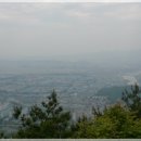 수천 세천 Daum카페