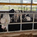 정우목장 이미지