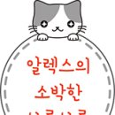 벨리씨모 이미지