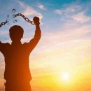 세류중학교 이미지