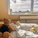 여우민박 이미지