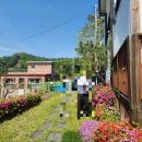 서울 근교 펜션 추천 남양주 에스나인펜션 스파 바베큐 내돈내산 후기