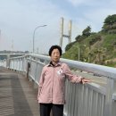 바닷가엄마집 이미지