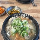 수복삼계탕 | 범계맛집 수복삼계탕 안양점 평촌삼계탕 내돈내산 솔직후기