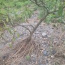 논일농장 이미지