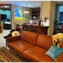 여의도상한가의원 이미지