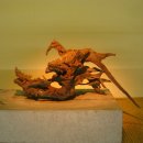 조록나무 뿌리 형상물 이미지