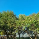 신정호수공원 생태학습관 | 충남 아산시 산책하기 좋은 곳, 신정호수 공원