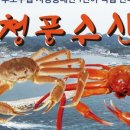 정실수산