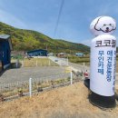 코코블리 애견운동장 이미지